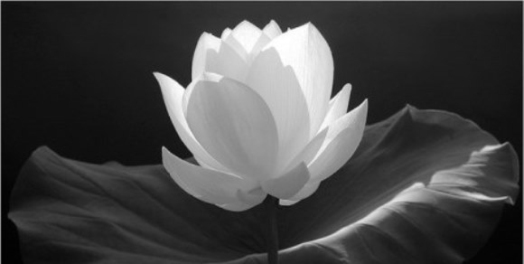 THƯƠNG NHỚ NHÀ THƠ VĨNH PHÚC